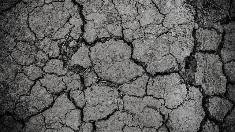 How to Avoid the Earth's Sixth Mass Extinction