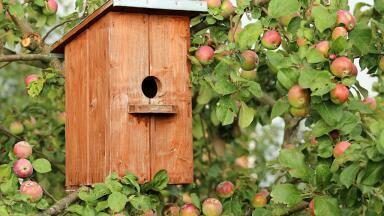 How to Help the Environment While Self-Isolating