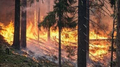 How Is an Environmental Condition Score Calculated?