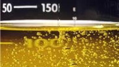 Water plant to turn waste fat into energy