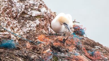 Scientists Find Highest Microplastic Levels on Mediterranean Seafloor