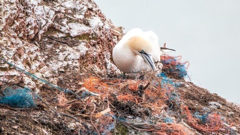 Scientists Find Highest Microplastic Levels on Mediterranean Seafloor