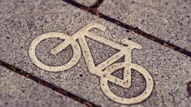 Life After COVID-19: Green Transformation or Back to Normal?