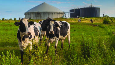 Methane gas monitoring for biogas plants