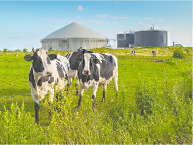 Methane gas monitoring for biogas plants