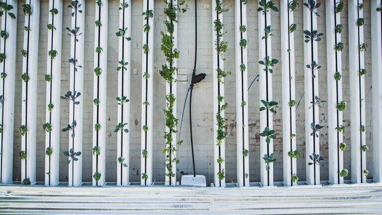 What Is Vertical Farming?