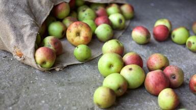 Why Is Food Waste on the Up?