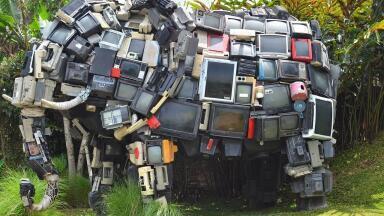 Should There Be More TV Shows About the Environment?