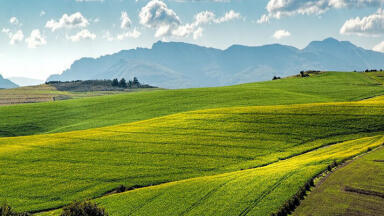Water systems in peril from intensive monoculture