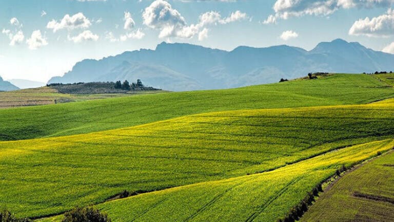 Water systems in peril from intensive monoculture
