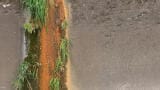 Optimising Environmental Laboratory Performance for Wastewater Analysis
