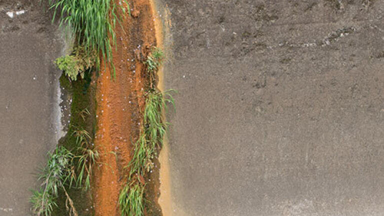Optimising Environmental Laboratory Performance for Wastewater Analysis