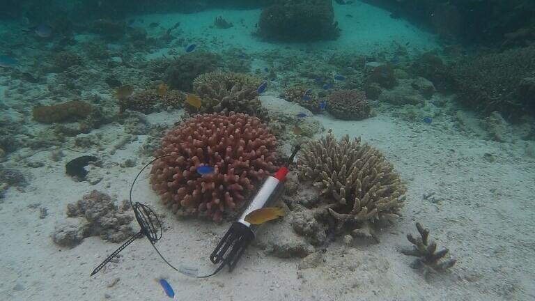 Underwater logger for pH, oxygen or optical temperature sensors