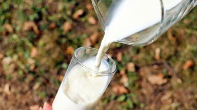 Which Milk is the Most Eco-Friendly?