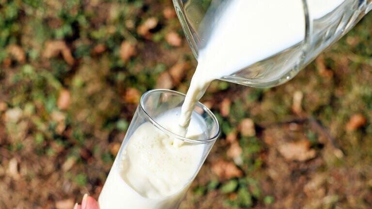 Which Milk is the Most Eco-Friendly?