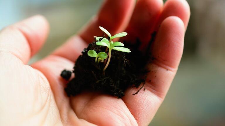 How Does Self-Watering Soil Work?