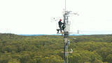Using spectroscopy to monitor and preserve the environment