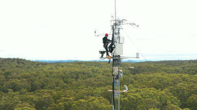 Using spectroscopy to monitor and preserve the environment