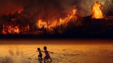 Is Amazon Deforestation Getting Worse?