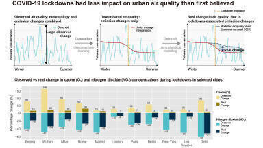Early COVID-19 lockdowns had less impact on urban air quality than first believed
