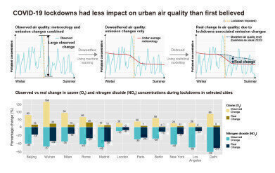 Early COVID-19 lockdowns had less impact on urban air quality than first believed