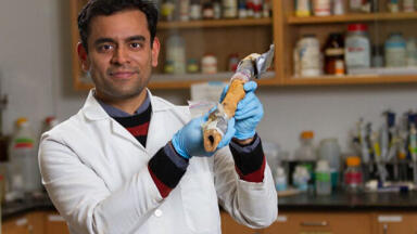 Influential scientist wins IWA Water Leadership Award