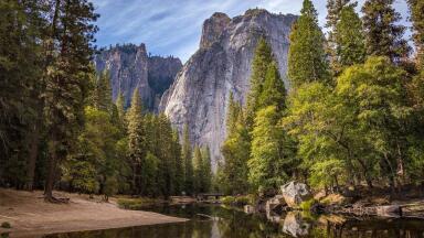 Has COVID-19 Increased the Number of Nature Lovers?