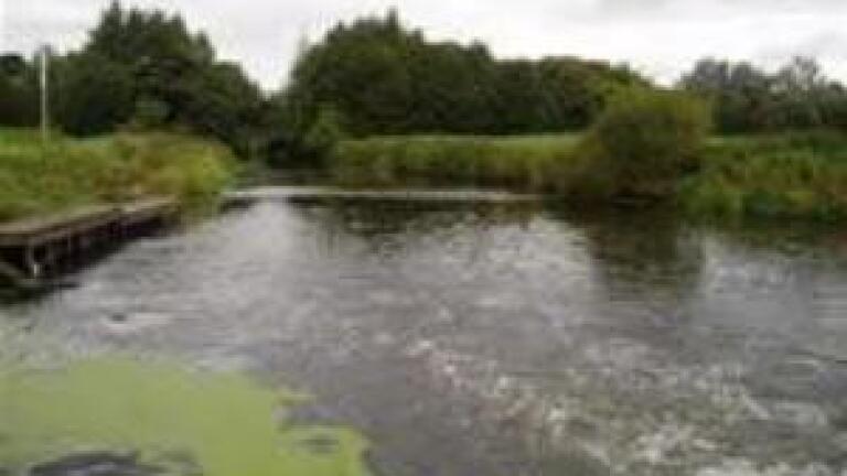 Trinity College Dublin researchers study phosphorous cycling and water quality