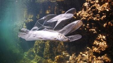 Have Microplastics Reached a 'Steady State' in the Ocean?