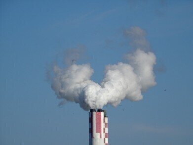 What Is the European Union's BREF for Combustion Plants?