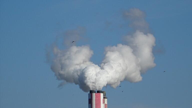 What Is the European Union's BREF for Combustion Plants?