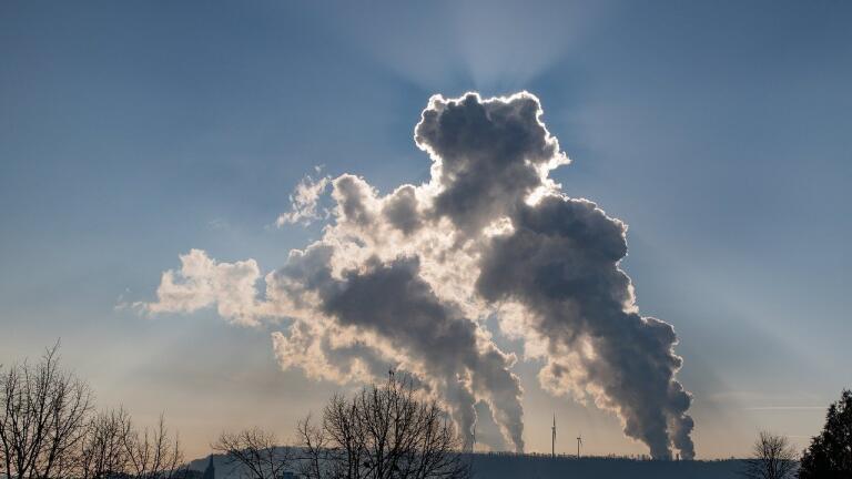 What Exactly Is a Combustion Plant?