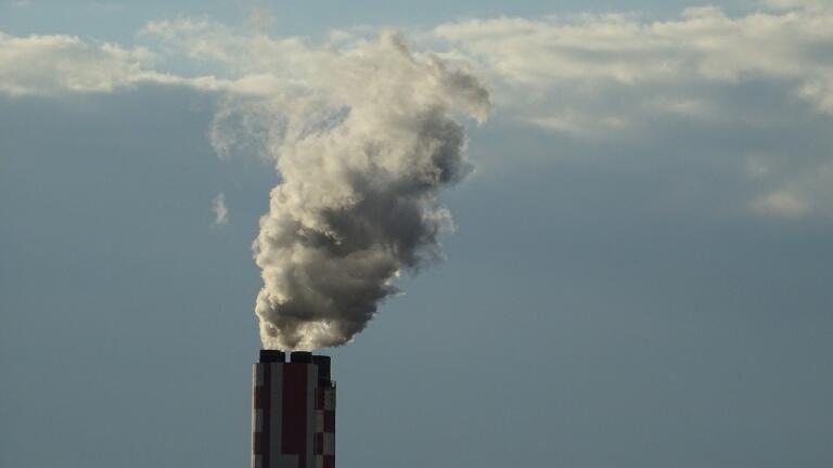How Many Combustion Plants Are There in the UK?