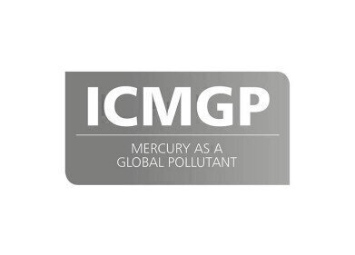 ICMGP 2022 - Lifetime Achievement Award