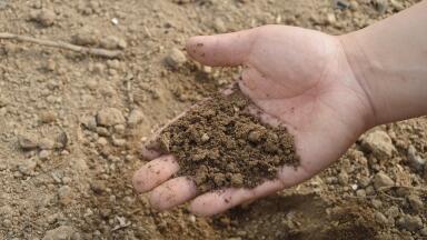 European Commission Consults on New EU Soil Strategy