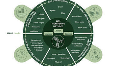 Remote monitoring could boost the use of nature-based solutions to safeguard against natural hazards