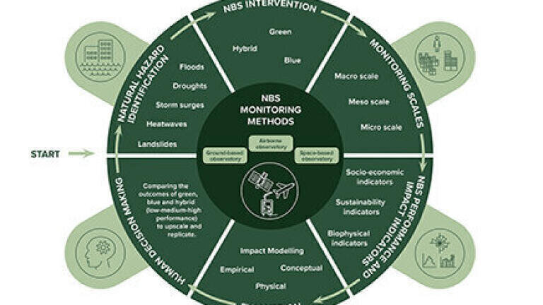 Remote monitoring could boost the use of nature-based solutions to safeguard against natural hazards