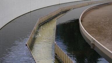 What Is Wastewater-Based Epidemiology?