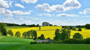 How Is Sewage Sludge Used in Farming?