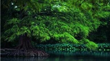 New project to improve water quality