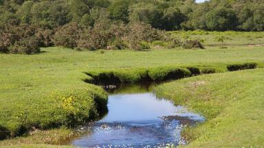 How Has Water Quality Monitoring Changed Over Time?