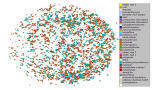 How to measure harmful plastic particles in human sewage