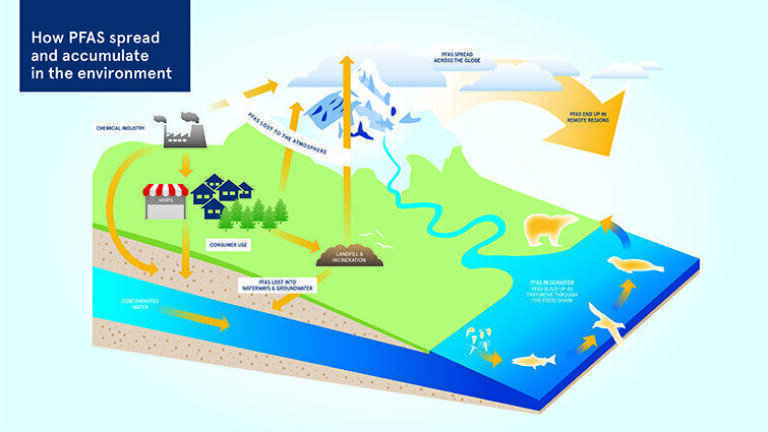 How PFAS spread and accumulate in the environment © Fidra