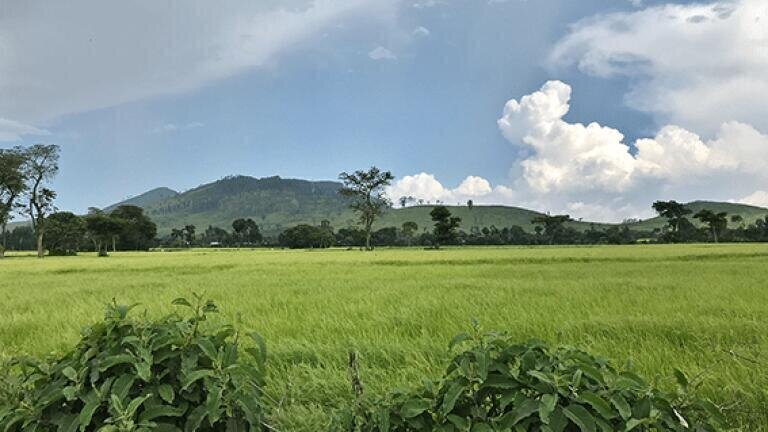 Green light to modernise Ethiopias meteorological infrastructure program
