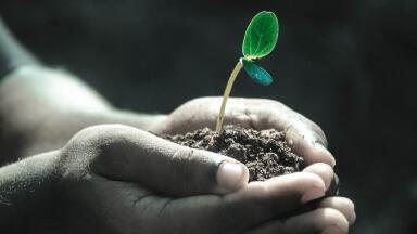 Why Does pH Measurement Matter for the Environment?