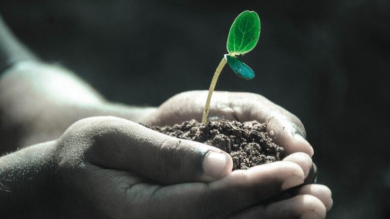 Why Does pH Measurement Matter for the Environment?