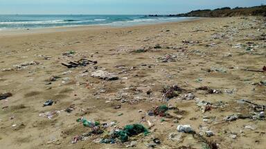 How Are Microplastics Monitored?