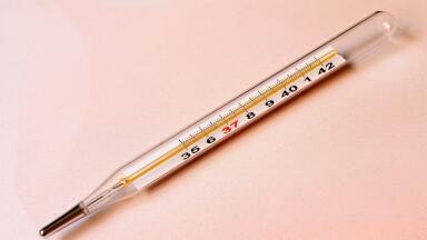 Why Is Mercury Measurement Important for the Environment?