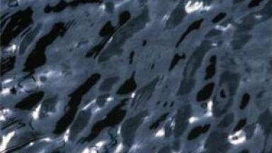 How to control activated sludge at your WWTP from the comfort of your own home