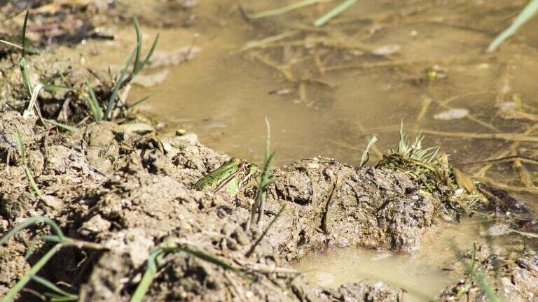 What Are the Dangers of Poor Water Quality?